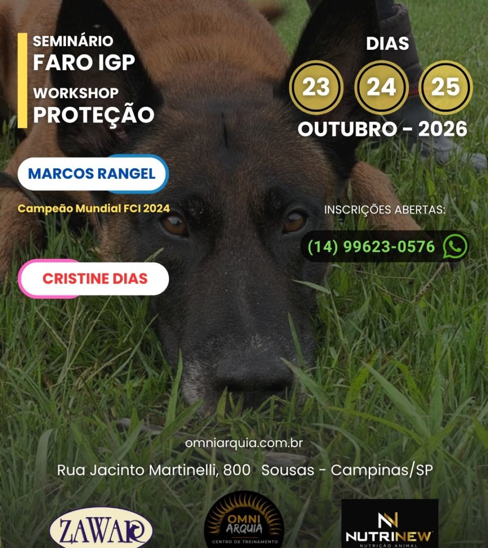 SEMINARIO-FARO-IGP-OUT-26